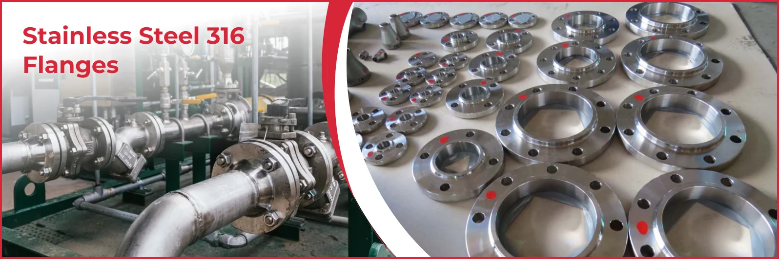 Stainless Steel 316 Flanges